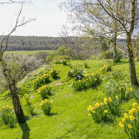 The Loft Dom wakacyjny Scarborough